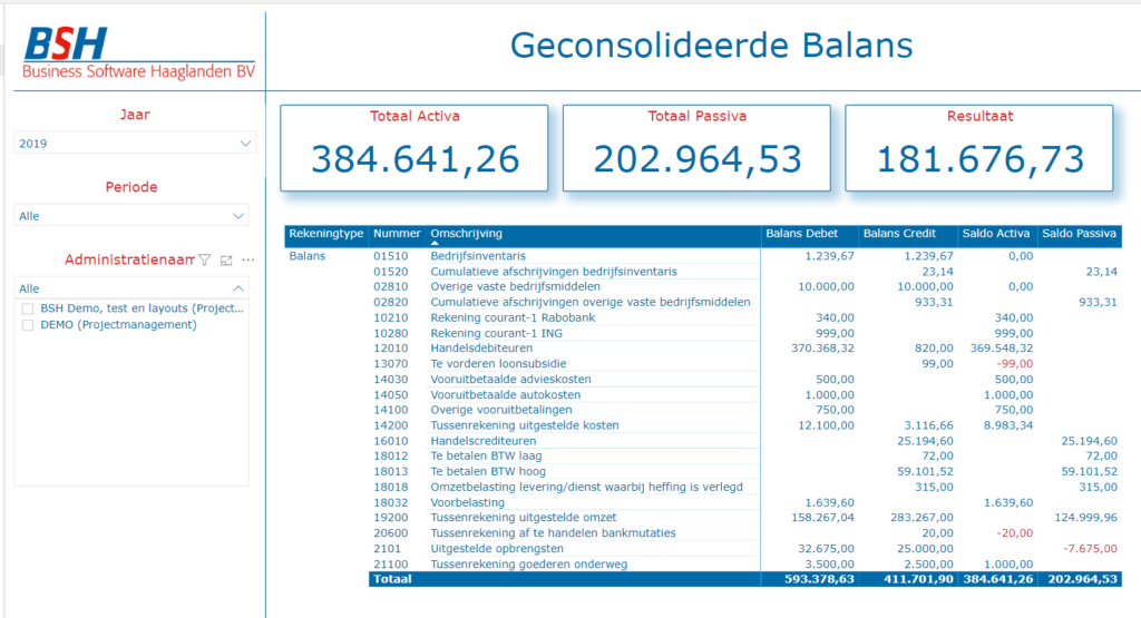 Geconsolideerde Balans en Verlies & Winst rekening - Business Software